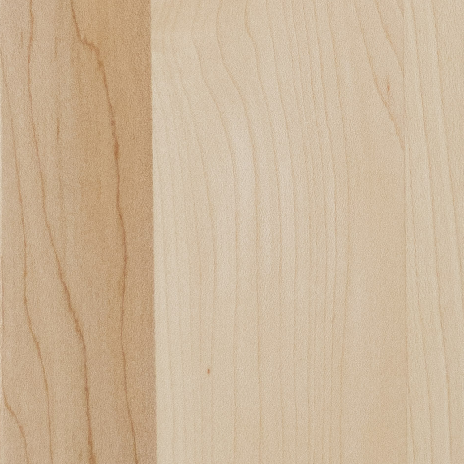 Échantillons de bois